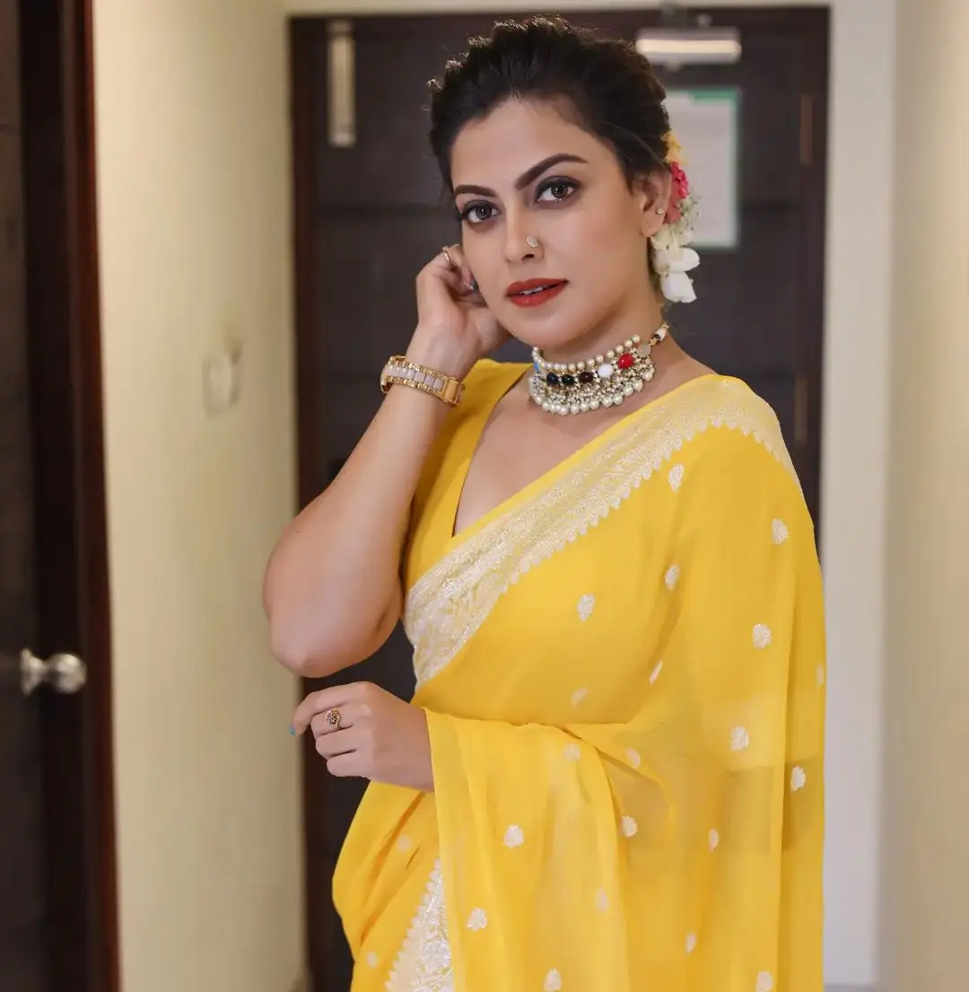 Anusree Nair Wearing Beautiful Earrings Jewellery Yellow Saree Blouse